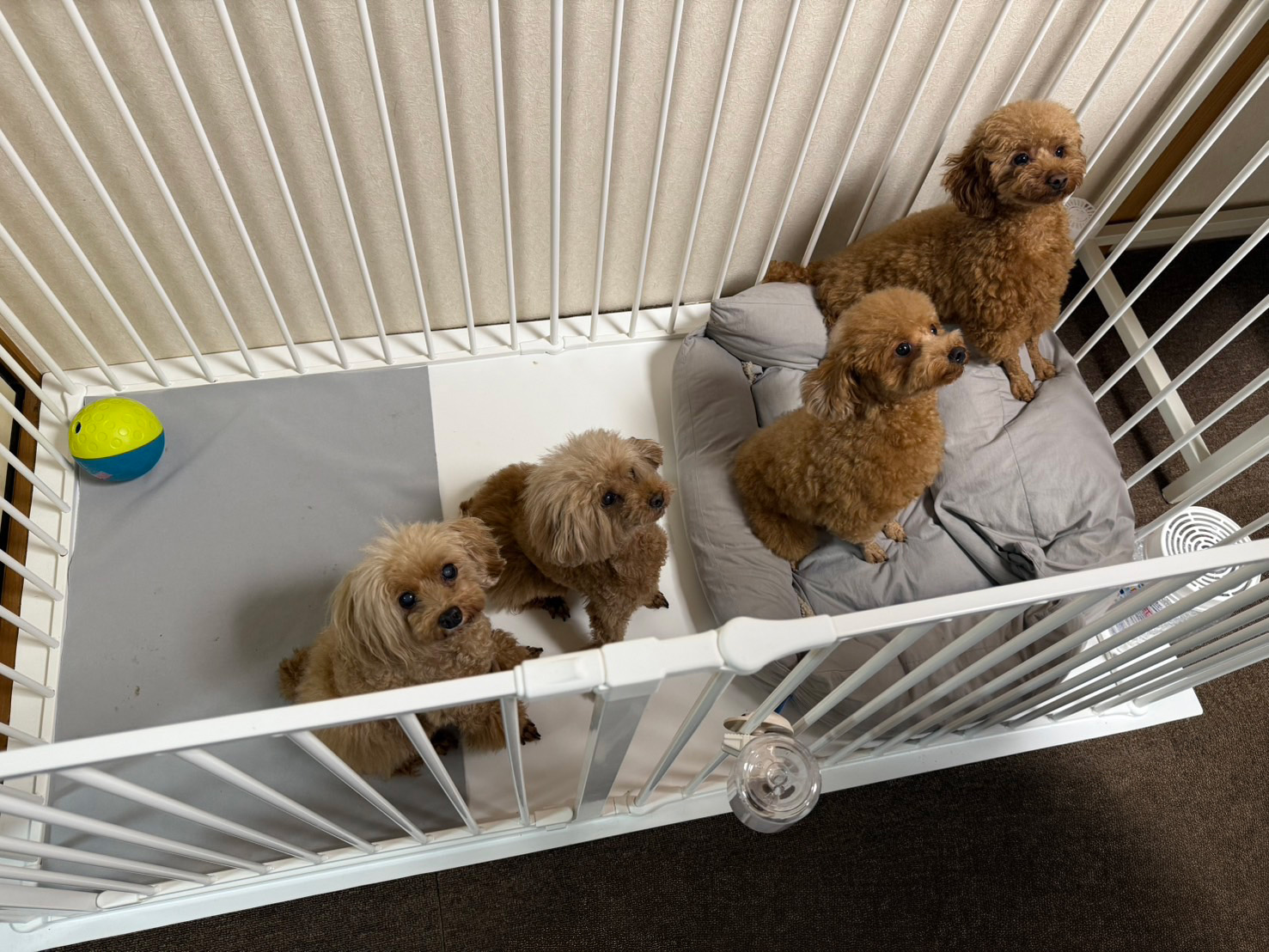 正社員 訪問看護師 訪問の求人情報イメージ3